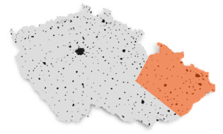 Zdeněk Holomek - Oblast působnosti